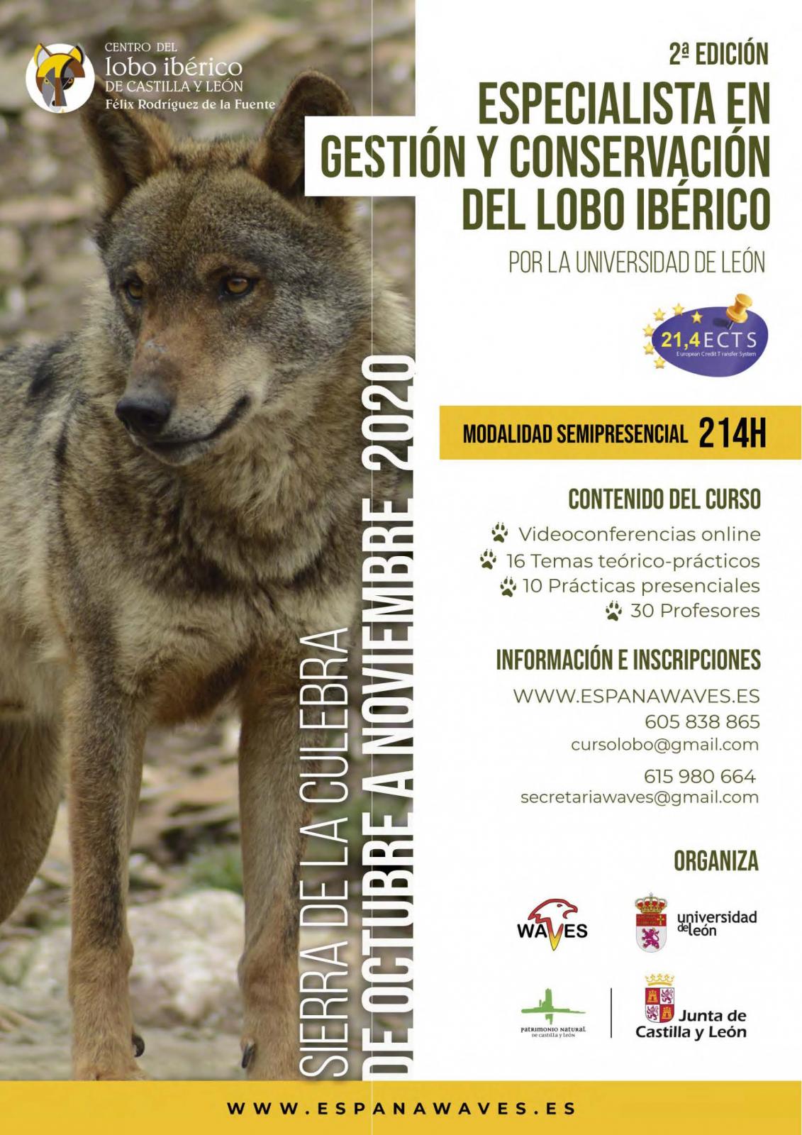 El Centro del Lobo Ibérico de CyL colabora en la segunda edición del Curso de Especialista en Gestión y Conservación del lobo ibérico.